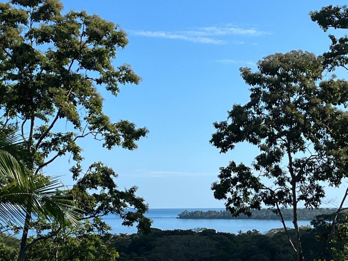 Hotel Los Cielos Del Caribe 까위따 외부 사진