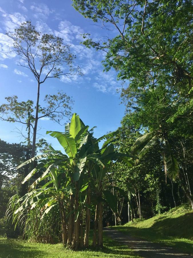 Hotel Los Cielos Del Caribe 까위따 외부 사진