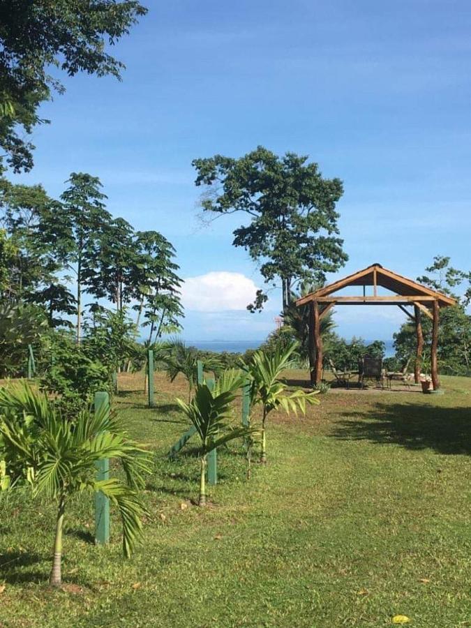 Hotel Los Cielos Del Caribe 까위따 외부 사진